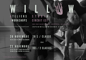 Ateliers/ Workshops WILLOW