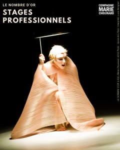 Professional Workshops – The Golden Ratio – Compagnie Marie Chouinard